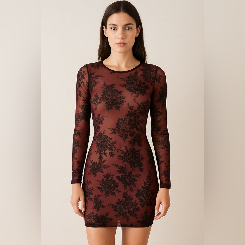 Elegant Sheer Dress - unlined